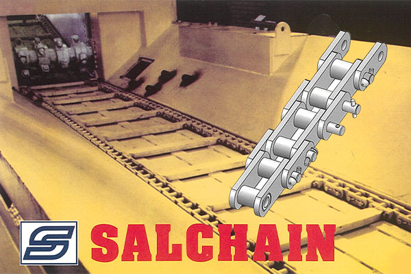 Chains  ( Crawler and Conveyor-Salchain )